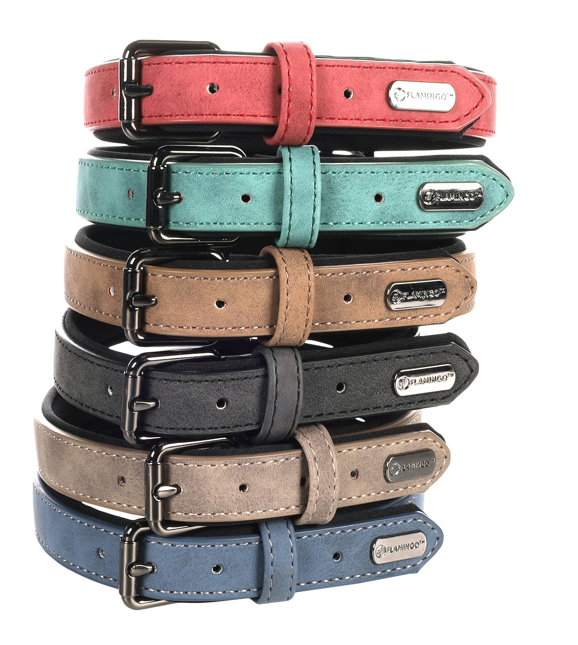 Eden - Collier pour chien avec doublure néoprène XS / S 24-30cm 15mm taupe - Image 4
