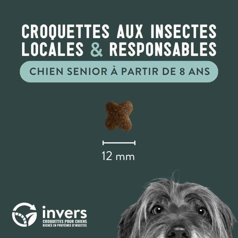 Croquettes aux insectes pour chien sénior (à partir de 8 ans) 7,5kg - Invers - Imagen 3