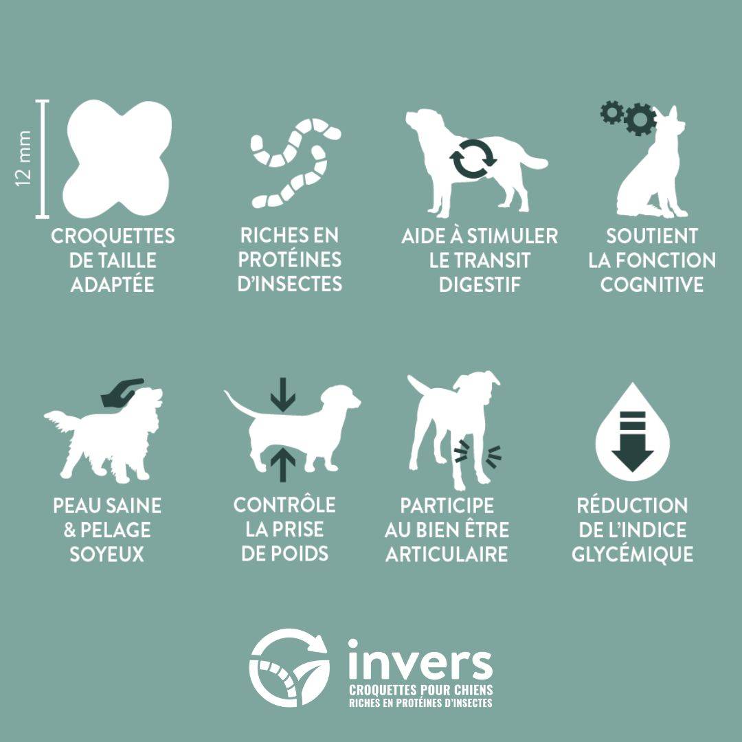 Croquettes aux insectes pour chien sénior (à partir de 8 ans) 7,5kg - Invers - Imagen 2