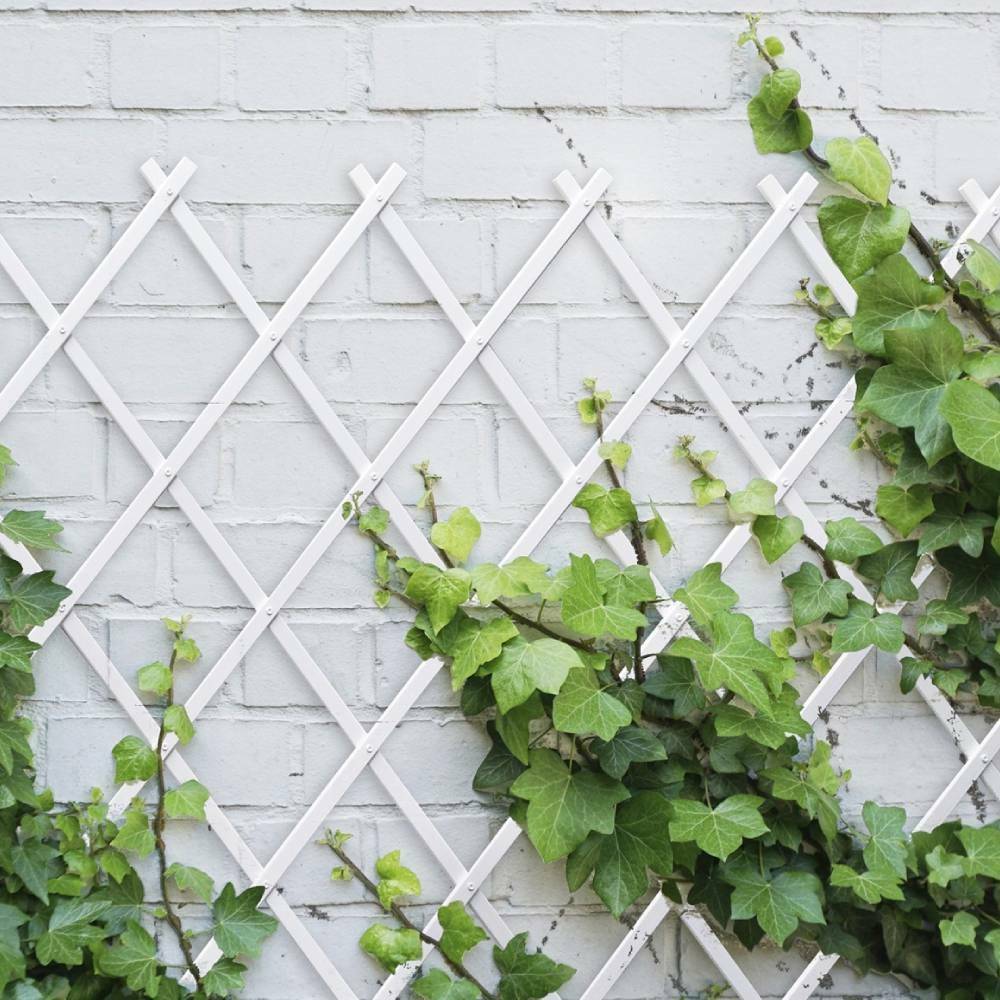 Treillis en plastique pour plantes grimpantes - TERRE JARDIN - Image 5
