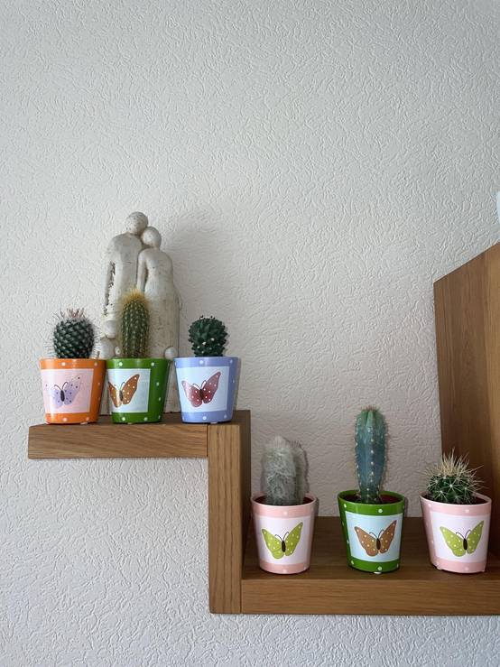 La Green Touch - Lot de 6 Cactus - Collection Papillon- La Green Touch - Image 3