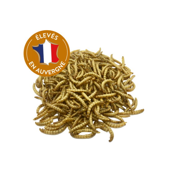 Bloc à picorer aux vers de farine 900g - Invers - Imagen 3