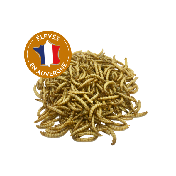 Bloc à picorer aux vers de farine 900g - Invers - Imagen 3