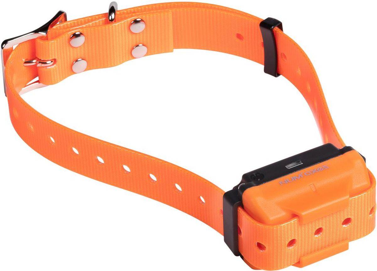 Collier de dressage rechargeable waterproof Canicom R pour petits chiens - Orange - NUM'AXES - Image 1