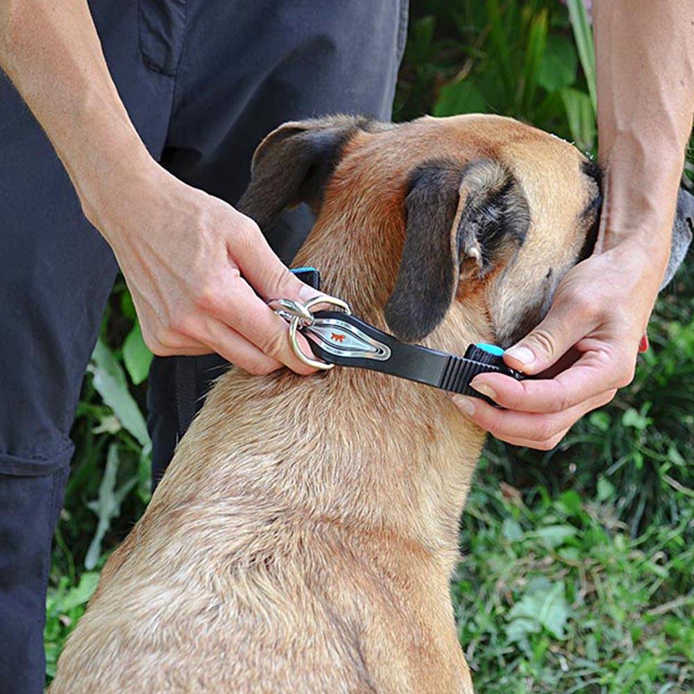 Ferplast - Collier Ergonomique pour Chiens ERGOFLUO C15/42 avec Rembourrage et Fermeture à Micro-régulation - Imagen 4