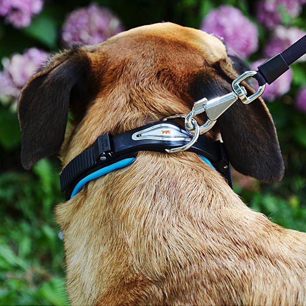 Ferplast - Collier Ergonomique pour Chiens ERGOFLUO C15/42 avec Rembourrage et Fermeture à Micro-régulation - Imagen 6