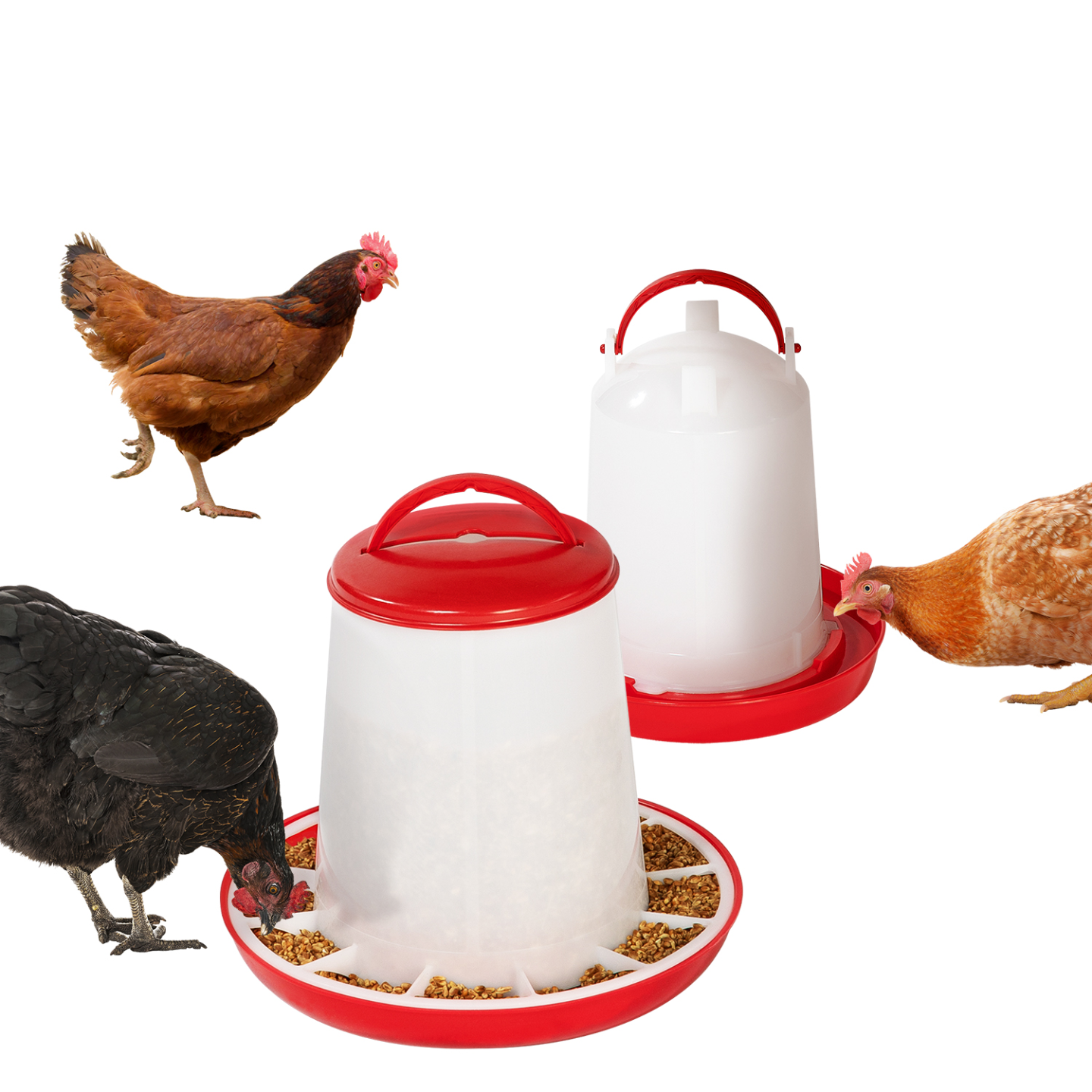 Lot mangeoire 3 KG et abreuvoir 3L pour poules et volailles - Image 7