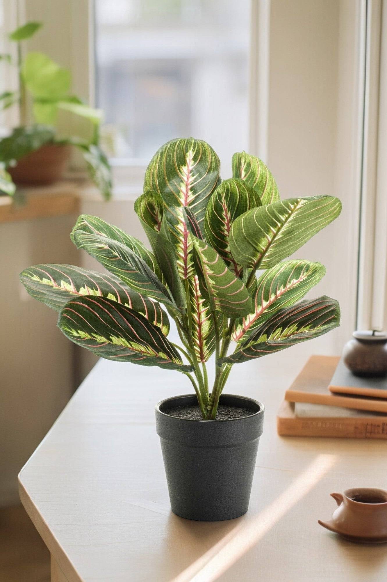 La Green Touch - Marantha Fascinator plante artificielle - h30cm, Ø12cm- La Green Touch - Imagen 1