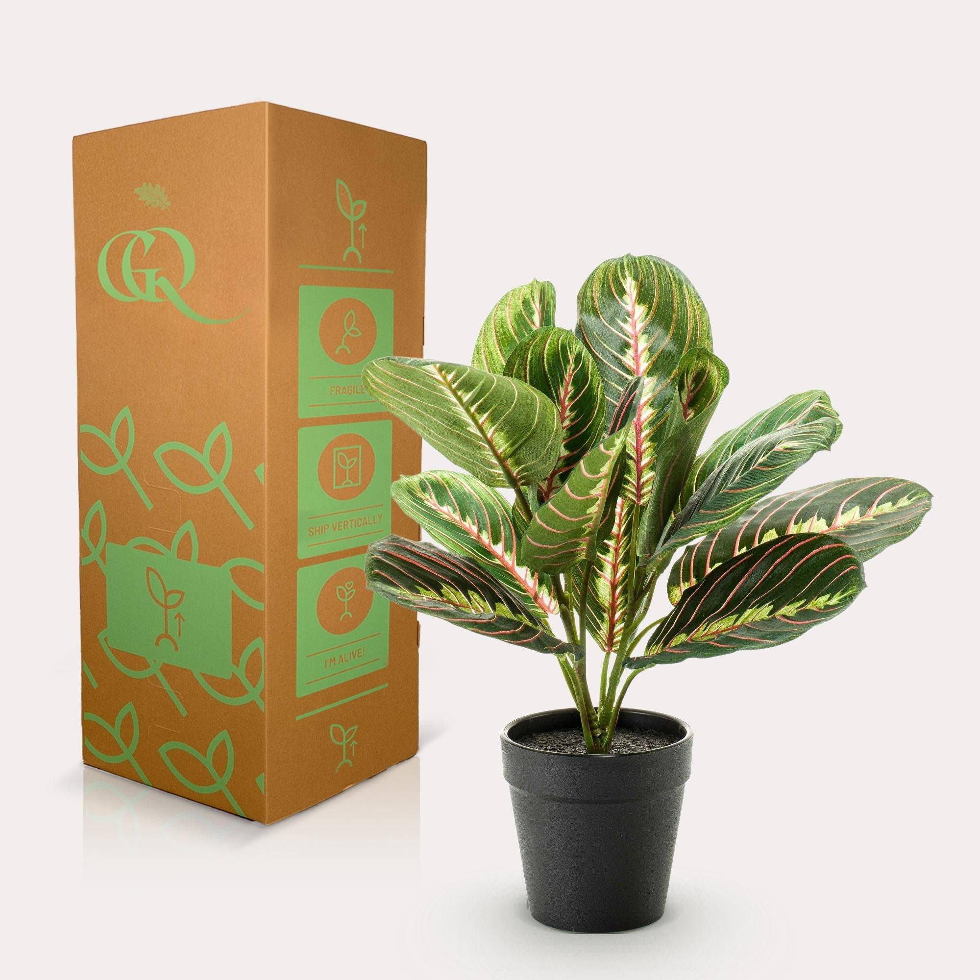 La Green Touch - Marantha Fascinator plante artificielle - h30cm, Ø12cm- La Green Touch - Imagen 3