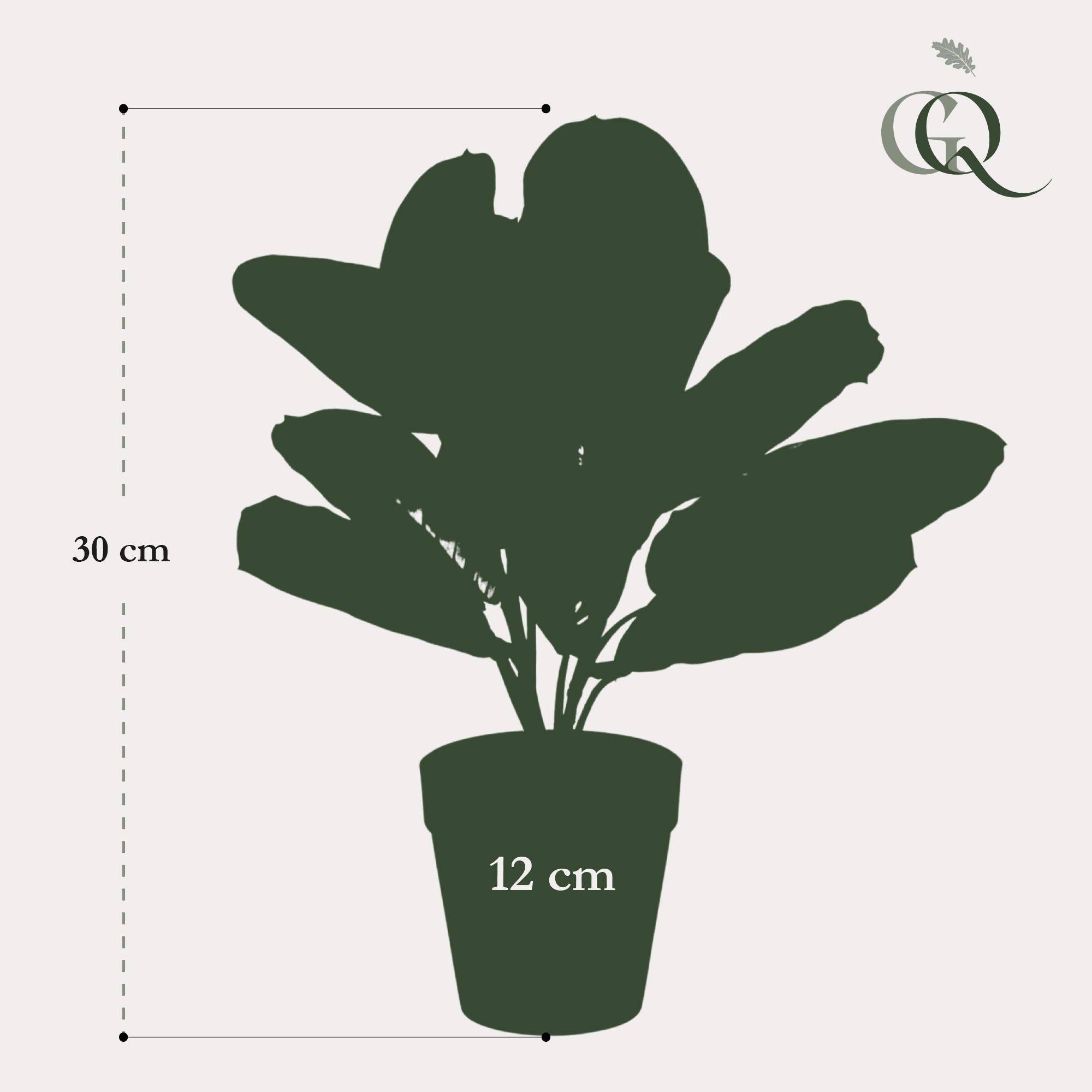 La Green Touch - Marantha Fascinator plante artificielle - h30cm, Ø12cm- La Green Touch - Imagen 4
