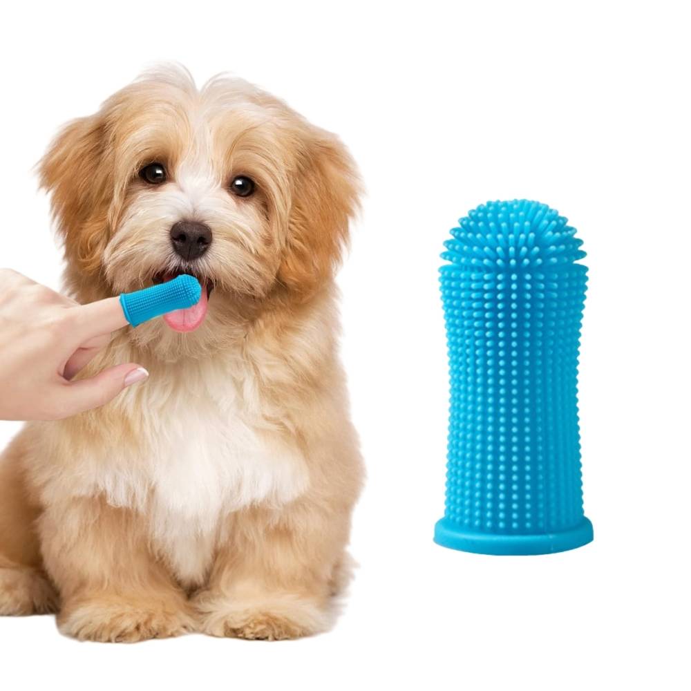 Brosse à dents pour chien bleu - IntiMeg