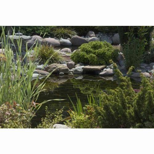 Ubbink - Pompe de filtration PowerClear 9000 - Imagen 5