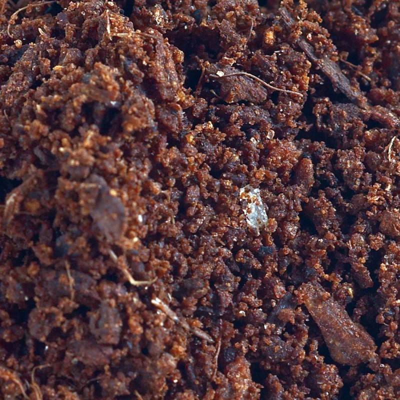 Radis et Capucine - Terre de coco sac de 1500g - Image 2