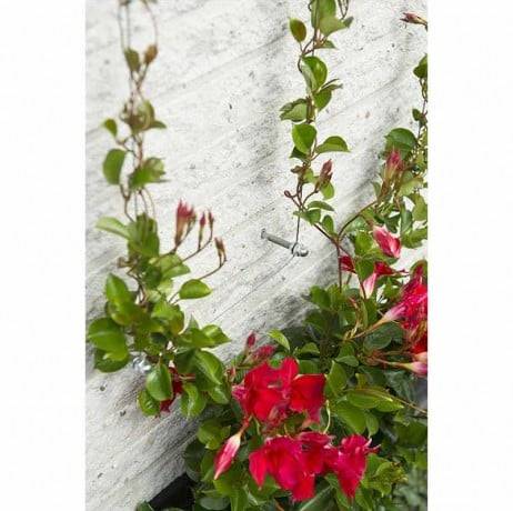 Nature - Kit treillis métallique pour plantes grimpantes - Imagen 3