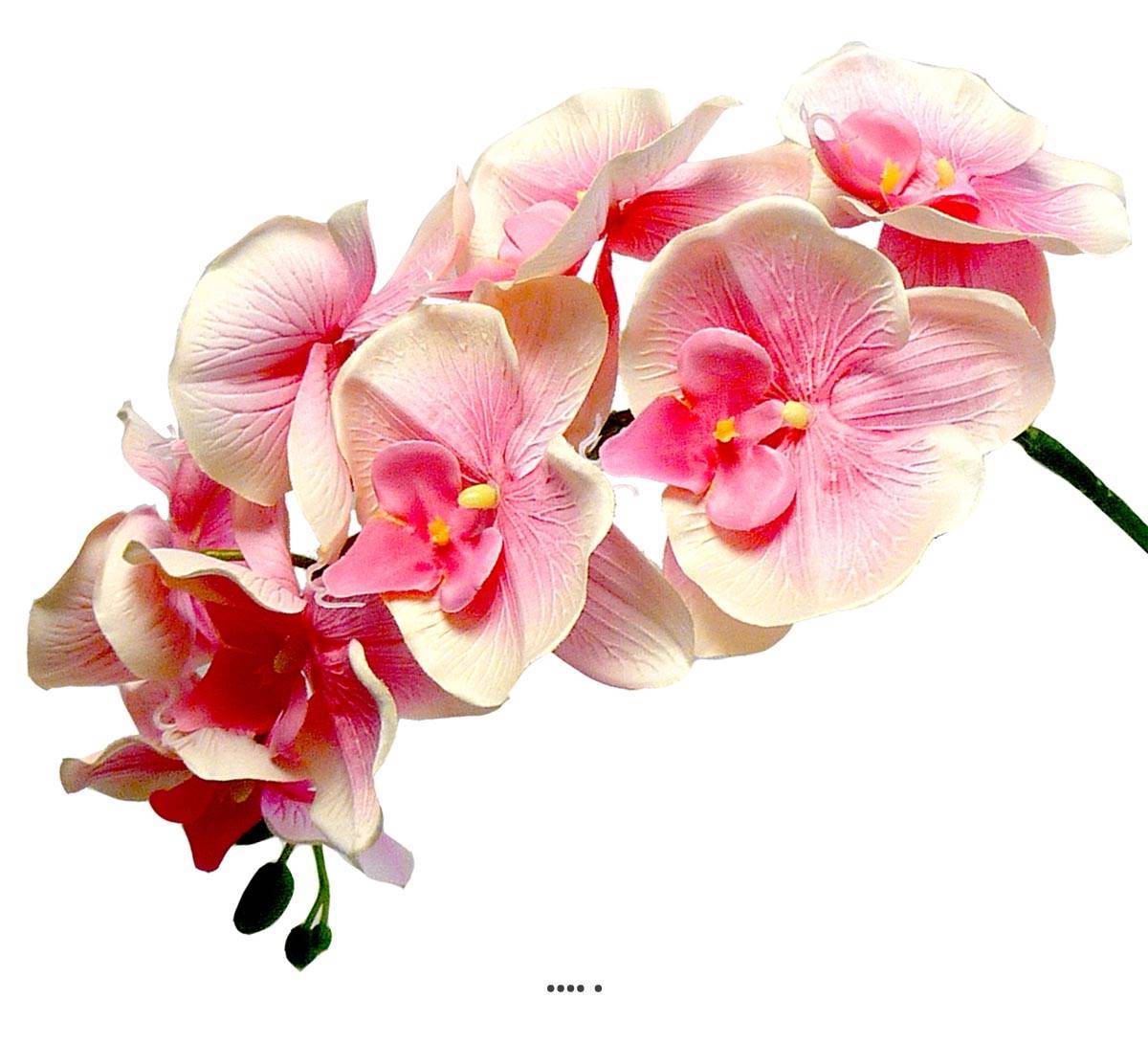 Artificielles - Orchidee Tao factice H105cm 8 fleurons 5 boutons qualité Rose soutenu - couleur: Rose soutenu - Imagen 1