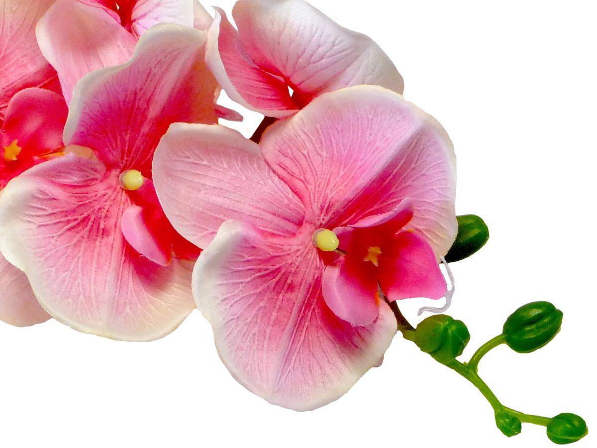 Artificielles - Orchidee Tao factice H105cm 8 fleurons 5 boutons qualité Rose soutenu - couleur: Rose soutenu - Imagen 2