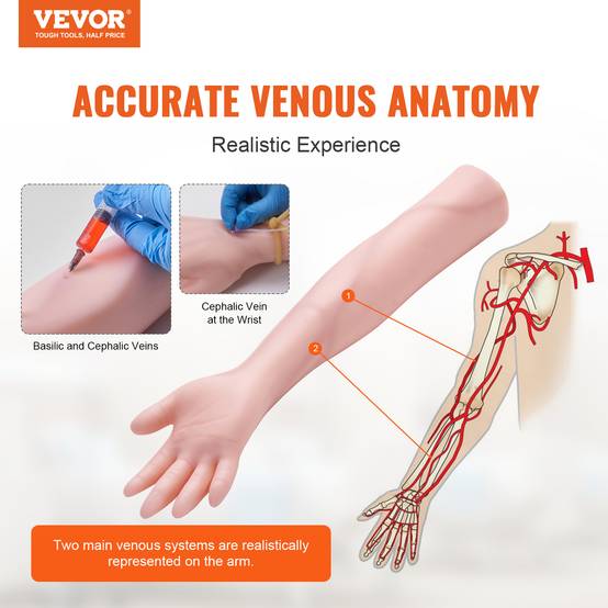 VEVOR Bras entraînement perfusion IV, PVC. Haute simulation, pour étudiants, infirmières. - Image 2