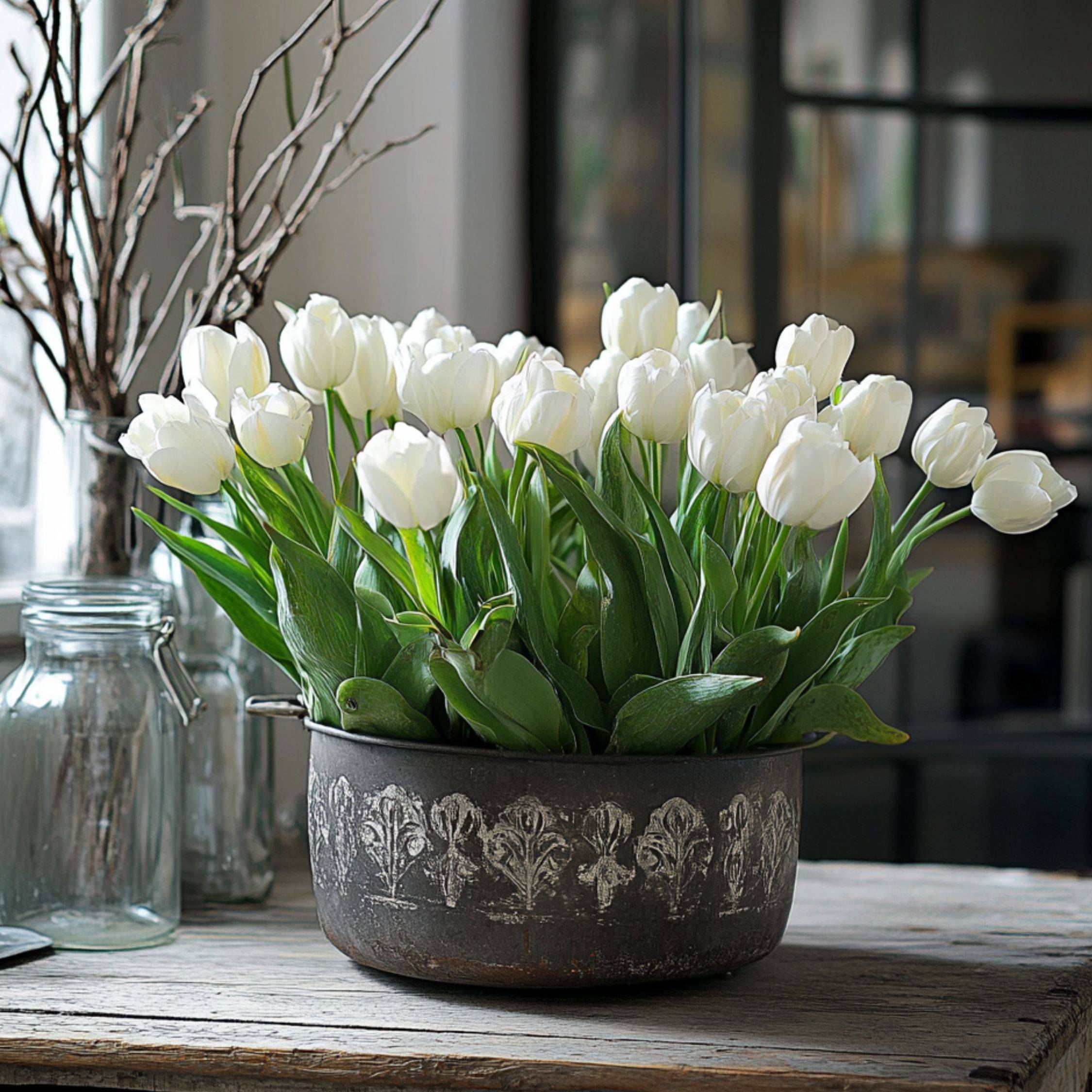 Plant In A Box - Tulipe - Set de 14 - Tulipa 'Northcap' - Bulbes à fleurs - Jaune - Image 2