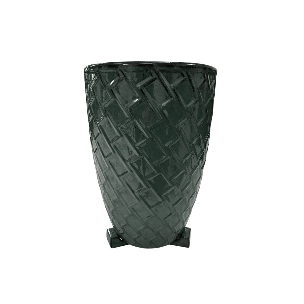 Provencelia - Pied de pot 6cm vert brumeux - Image 3