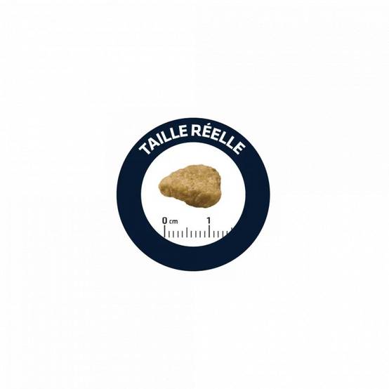 CROQUETTES CHAT ADULTE SENSITIVE STERILIZED SAUMON - ADVANCE 1,5 kg - Image 2