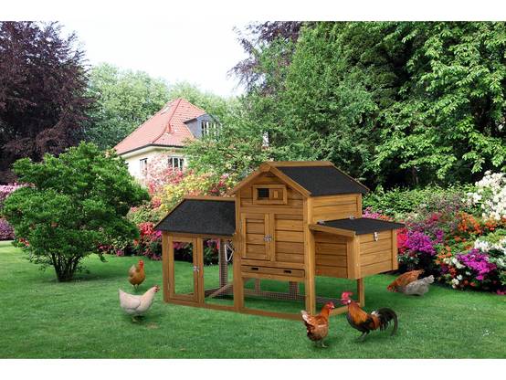 Poulailler "poulette" Avec Pondoir En Bois - Marron -habitat Et Jardin - Image 2