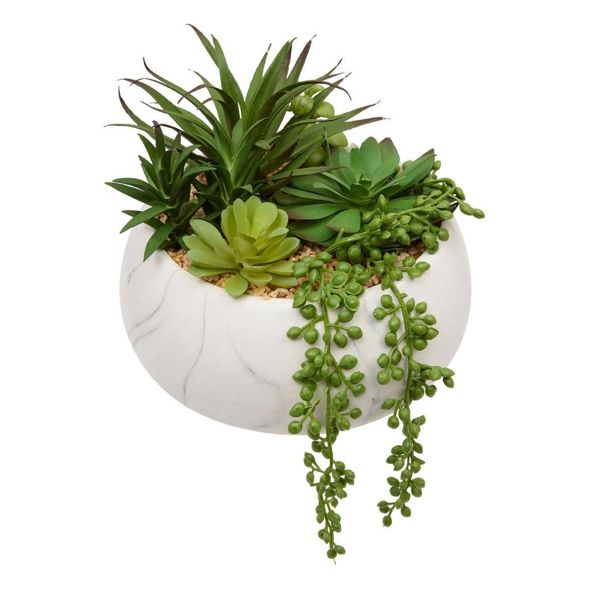 Plante Grasse Artificielle "Jesty" 21cm Multicolore - Image 1