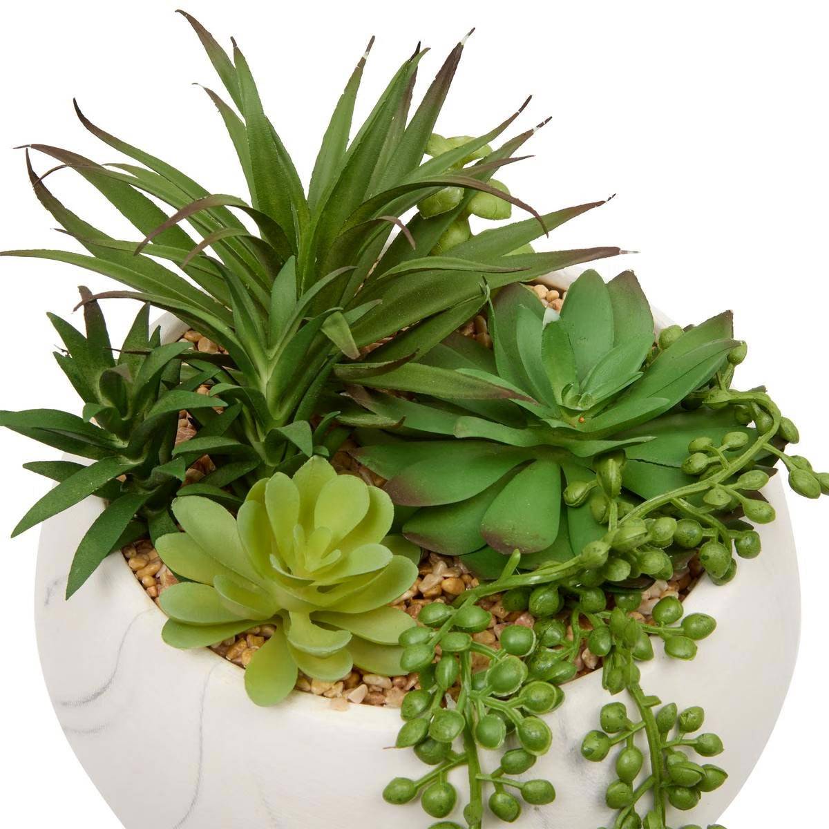 Plante Grasse Artificielle "Jesty" 21cm Multicolore - Image 2