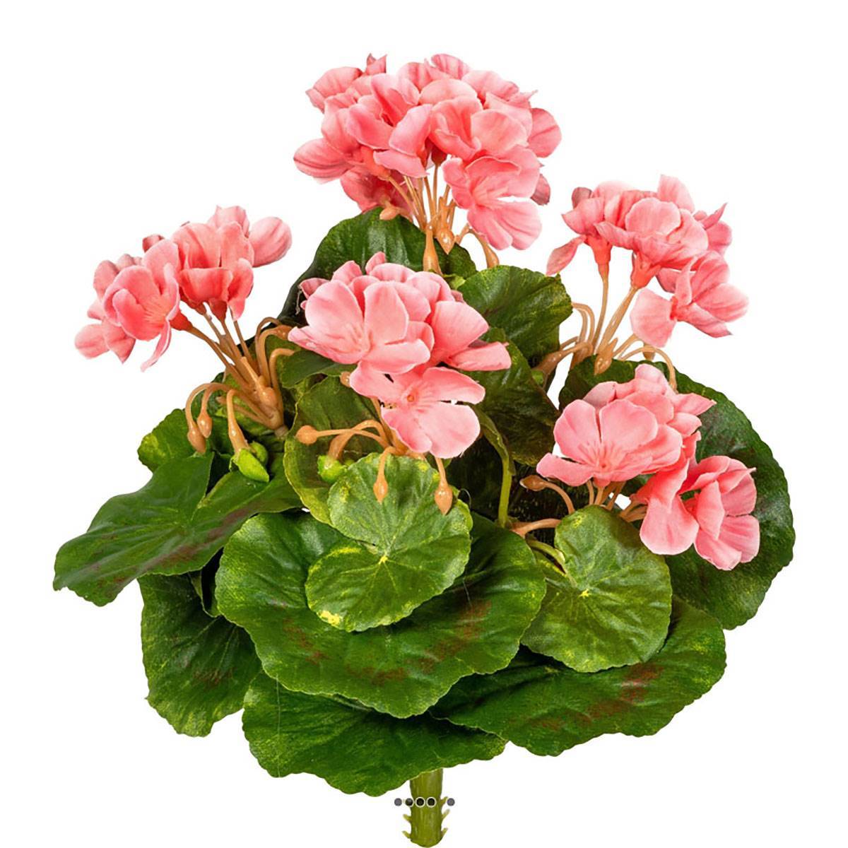 Artificielles - Piquet de géranium artificiel Anti-Uv H 24 cm Rose - couleur: Rose - Imagen 1