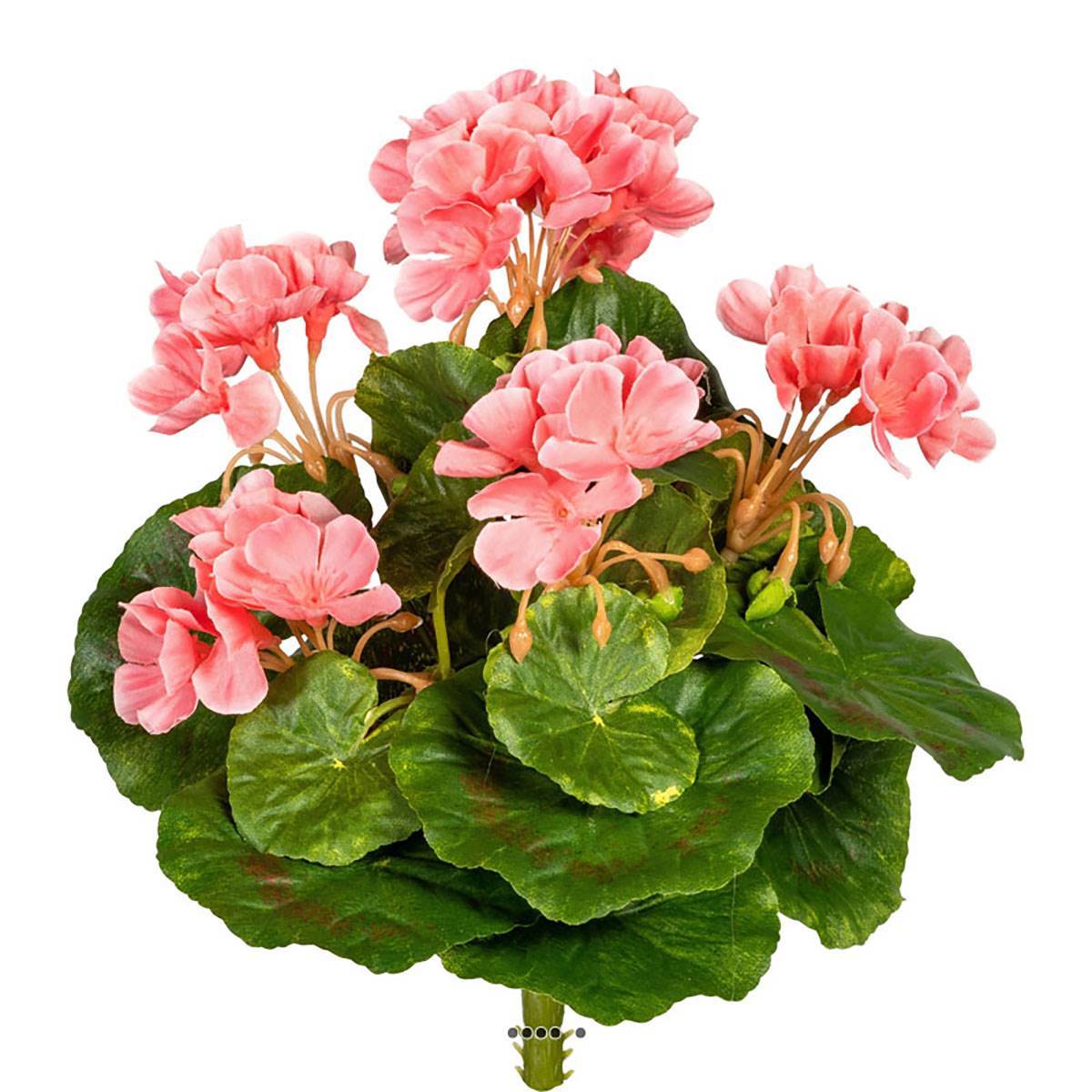 Artificielles - Piquet de géranium artificiel Anti-Uv H 24 cm Rose - couleur: Rose - Imagen 2