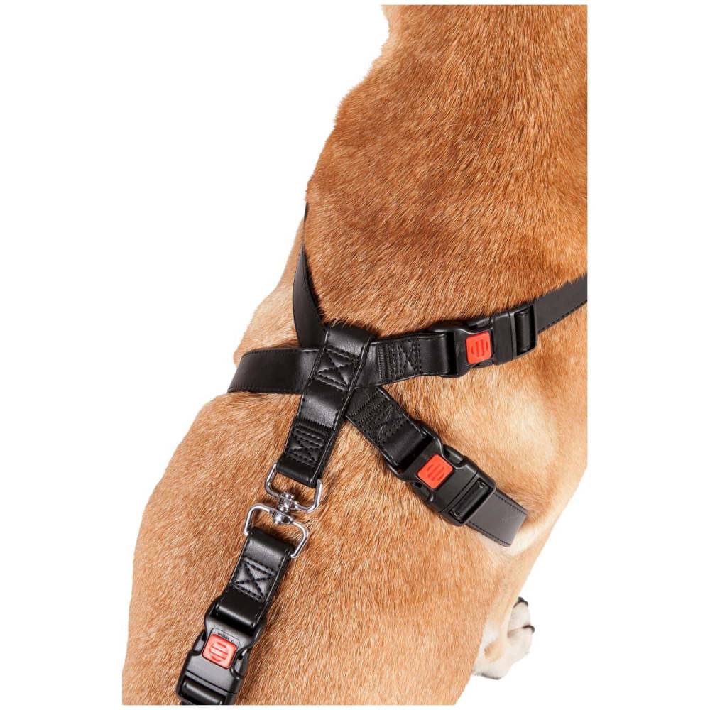Harnais de sécurité voiture  S / 35-50 cm pour chien - Image 3