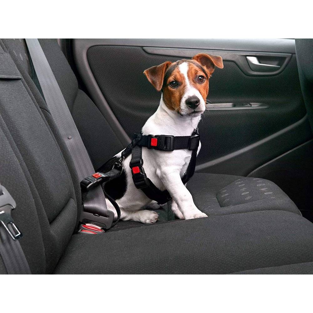 Harnais de sécurité voiture S / 35-50 cm pour chien - Image 5