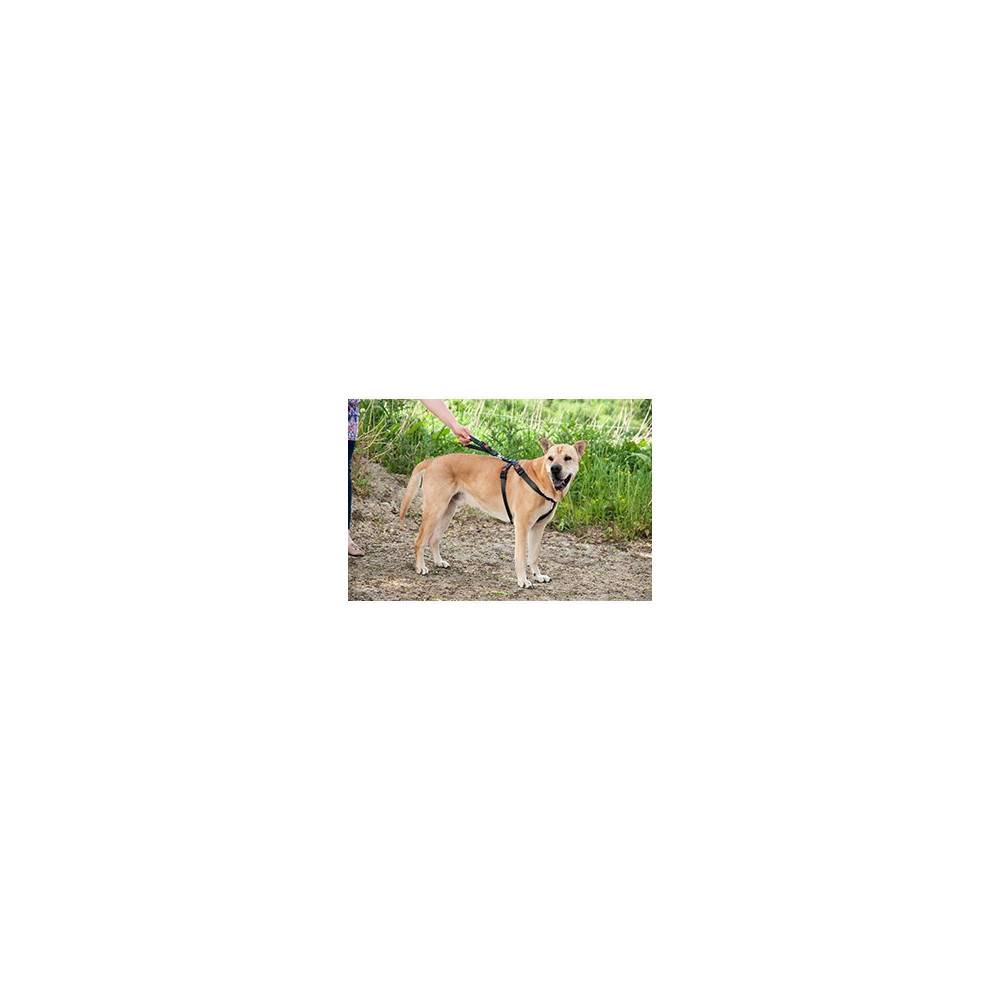Harnais de sécurité voiture  S / 35-50 cm pour chien - Image 4
