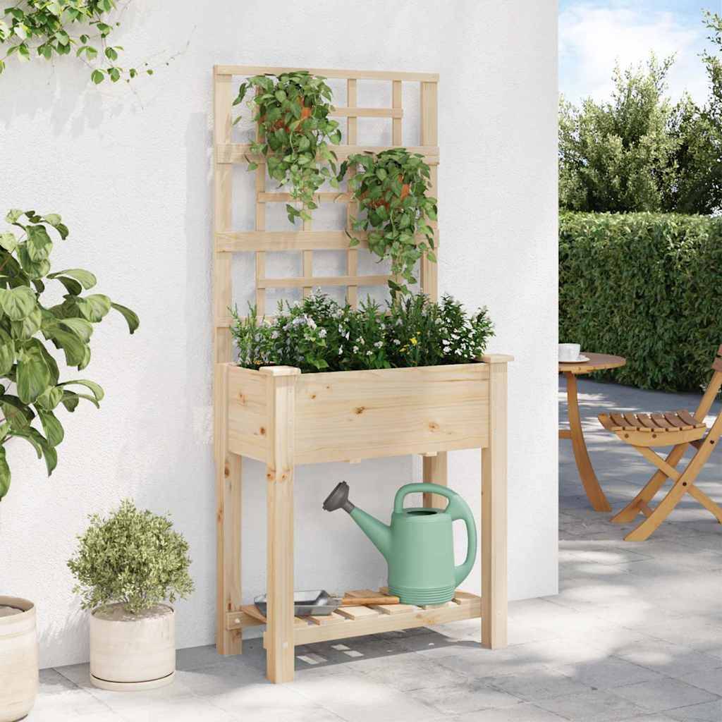 Cache-pot, Pot De Fleurs Beige 71 x 38 x 152 cm Bois de sapin massif g376 - Image 4