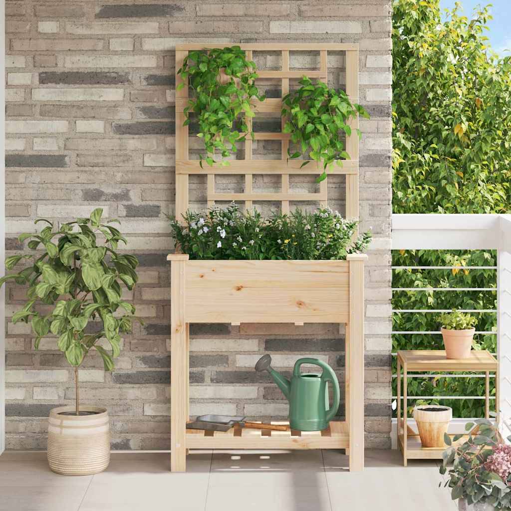 Cache-pot, Pot De Fleurs Beige 71 x 38 x 152 cm Bois de sapin massif g376 - Image 2