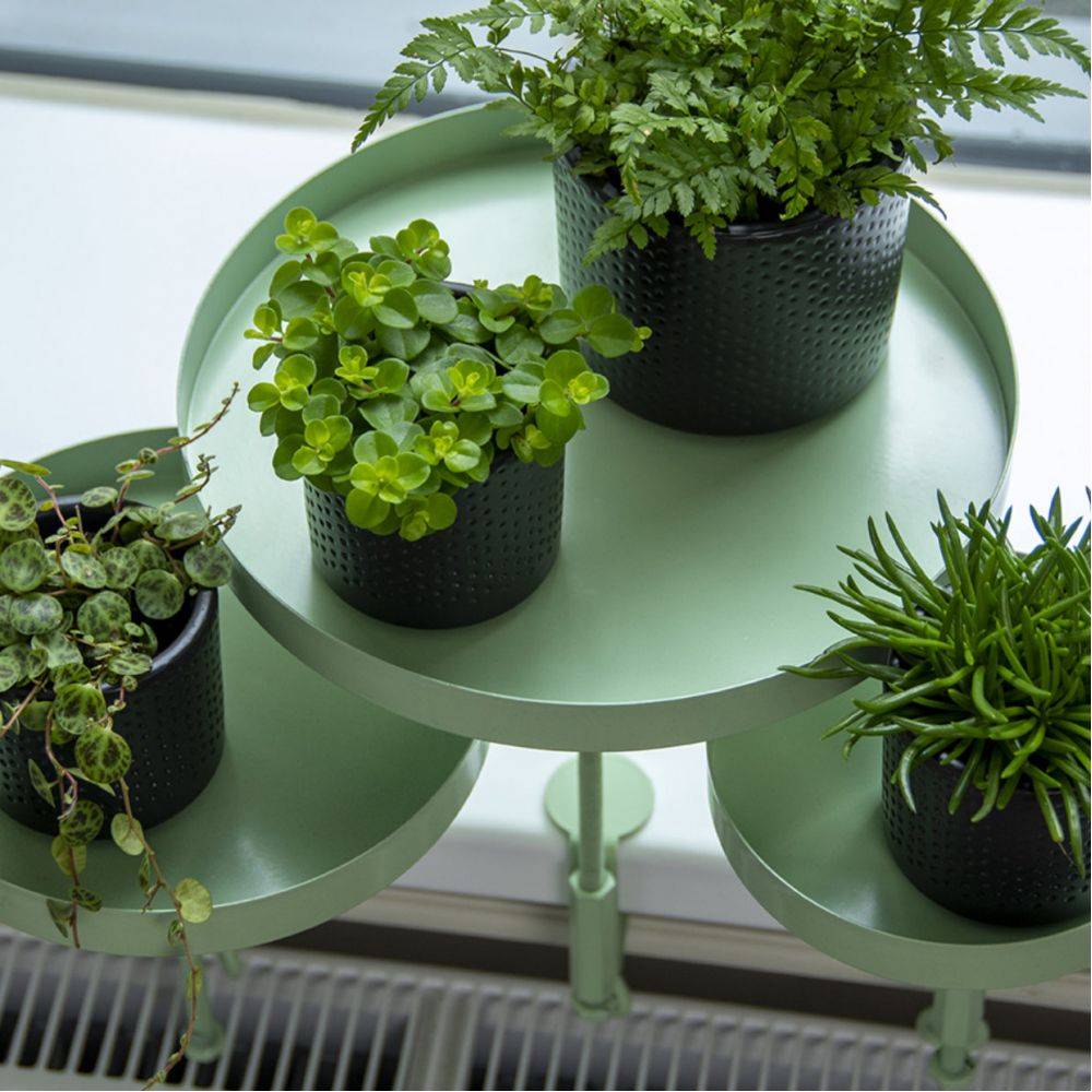 Esschert Design - Support à plantes rond  à fixer hauteur réglable vert 20.9 x 14 cm Esschert's Garden - Imagen 3