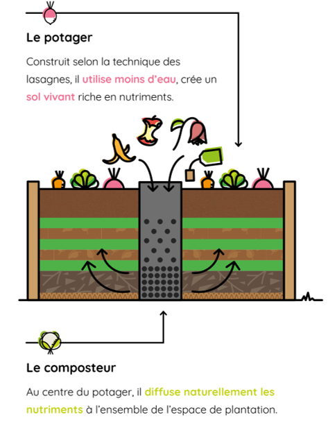 Mon Petit Potager - Carré Potager avec composteur intégré - Bois Douglas non traité -  170 x 120 x H40 - mon PETIT POTAGER - Image 7