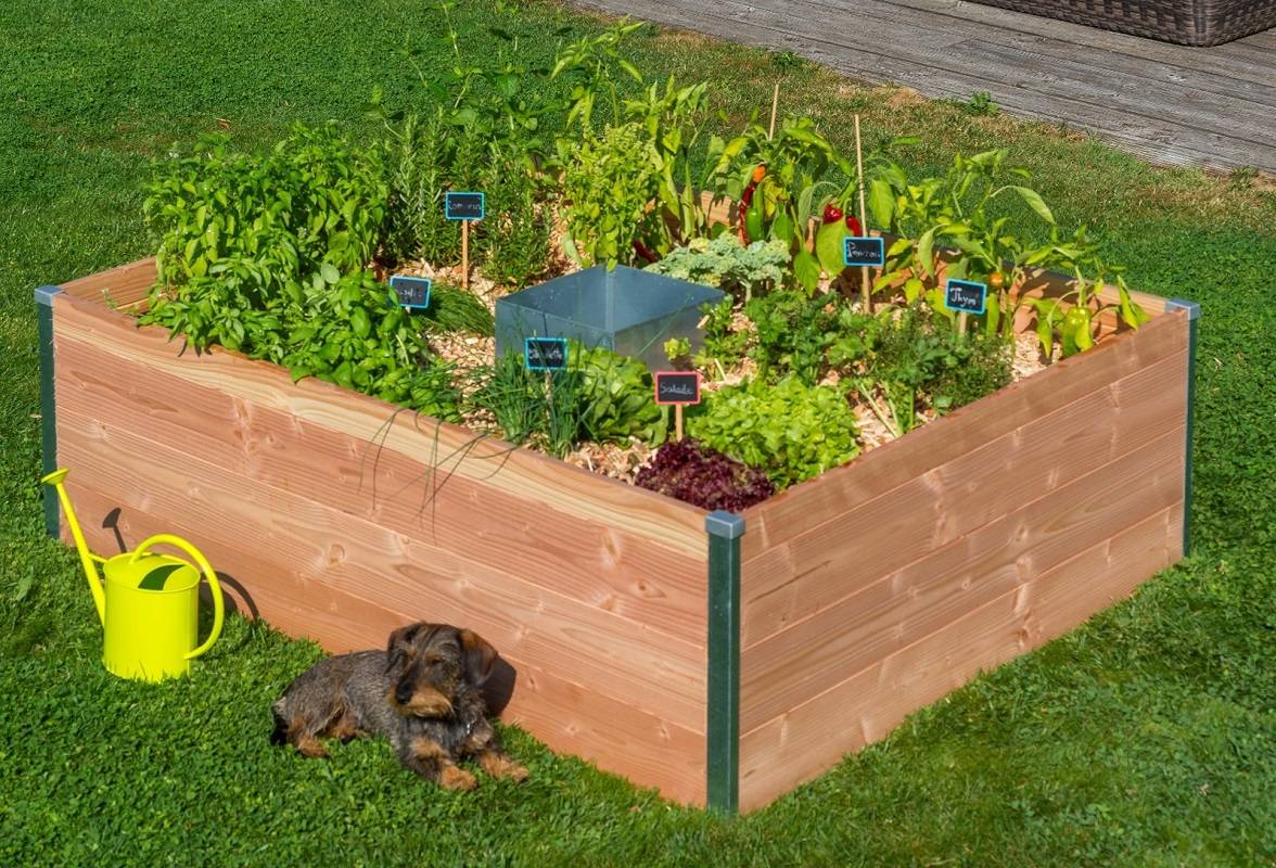 Mon Petit Potager - Carré Potager avec composteur intégré - Bois Douglas non traité -  170 x 120 x H40 - mon PETIT POTAGER - Image 2