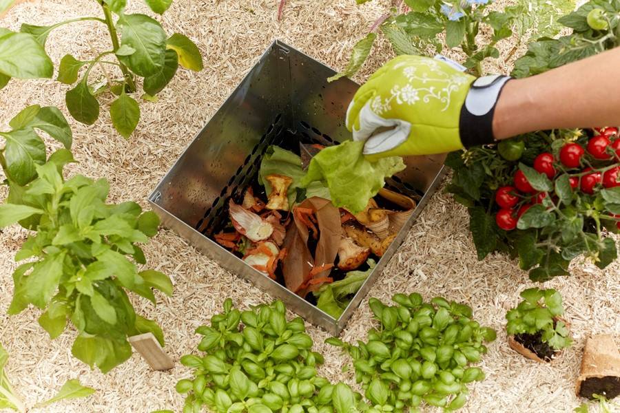 Mon Petit Potager - Carré Potager avec composteur intégré - Bois Douglas non traité -  170 x 120 x H40 - mon PETIT POTAGER - Image 4