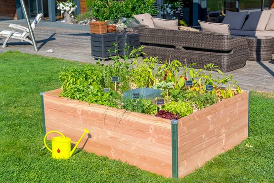 Mon Petit Potager - Carré Potager avec composteur intégré - Bois Douglas non traité - 170 x 120 x H40 - mon PETIT POTAGER - Image 6