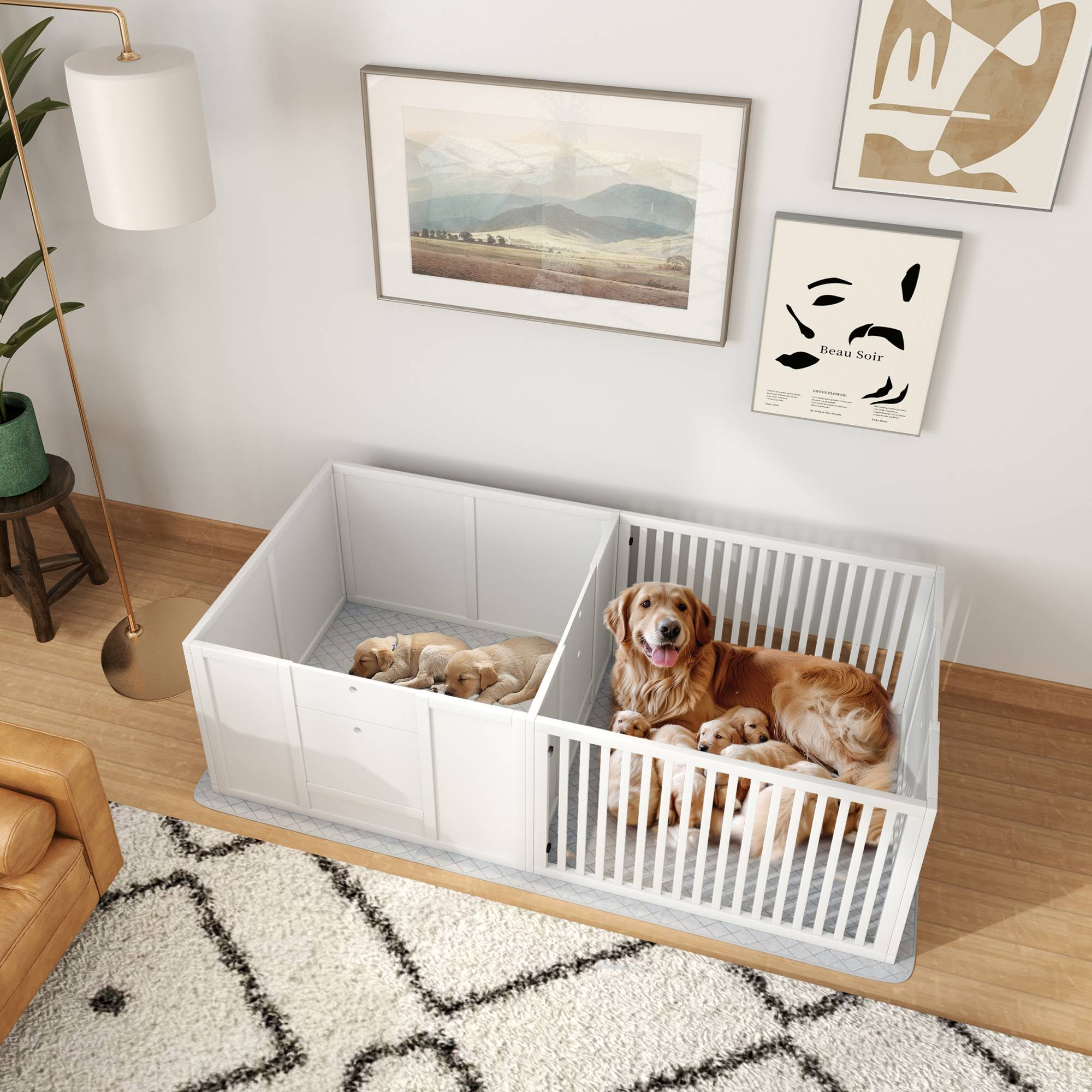 Caisse de mise bas et enclos MDF blanc 166.0 x 80.0 x 50.0 cm - PANGIVO - Image 2