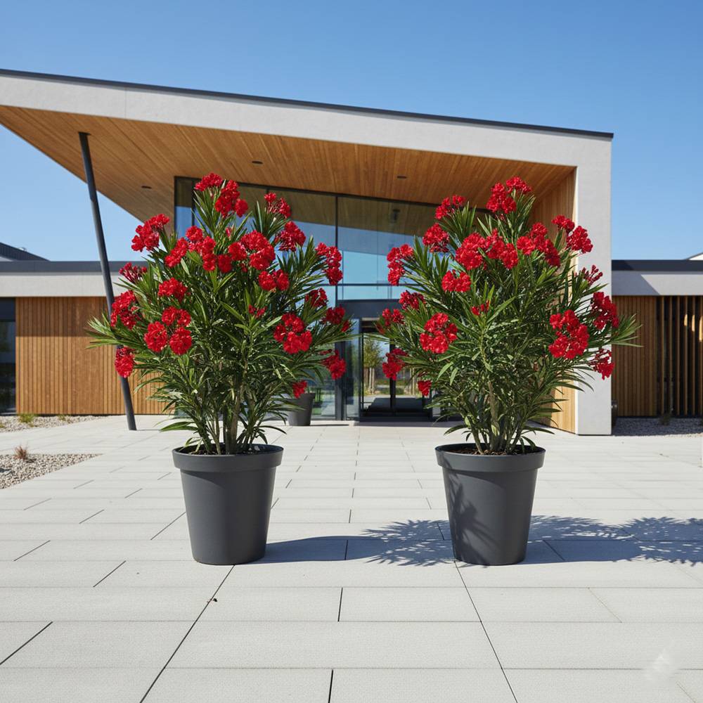 Pot de fleurs 200l delight - plast'up rotomoulage - Image 3