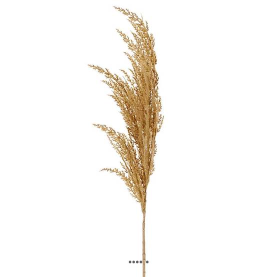 Magnifique fausse herbe de pampa grande tige 100 cm Vanille - couleur: Vanille - Image 2