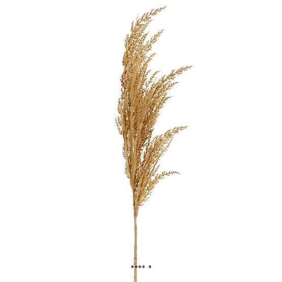 Magnifique fausse herbe de pampa grande tige 100 cm Vanille - couleur: Vanille - Image 1