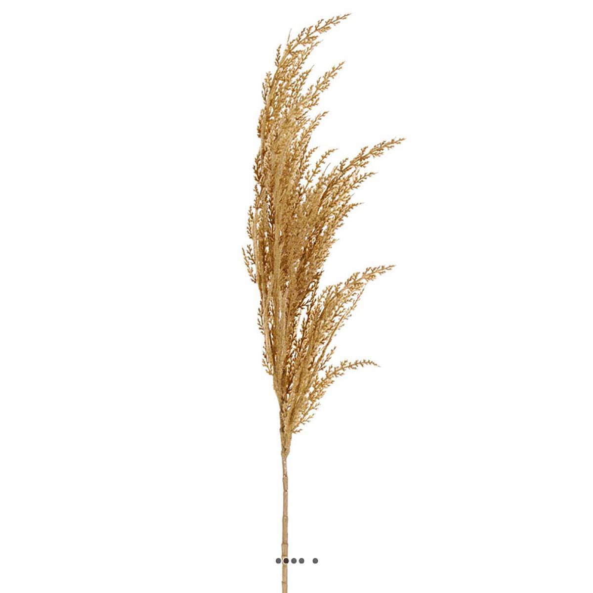 Magnifique fausse herbe de pampa grande tige 100 cm Vanille - couleur: Vanille - Image 1