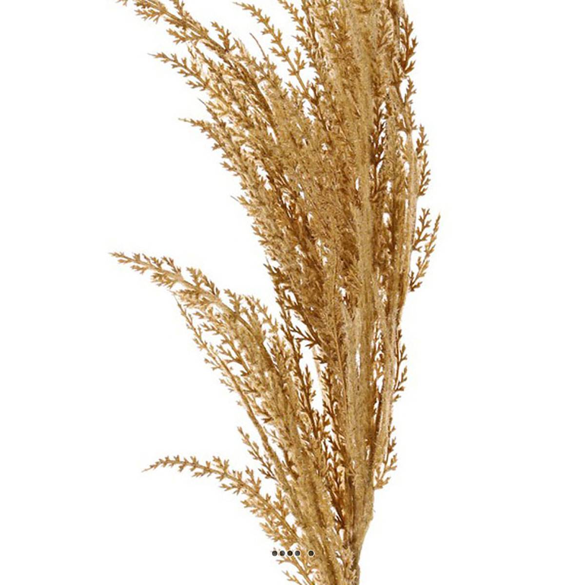 Magnifique fausse herbe de pampa grande tige 100 cm Vanille - couleur: Vanille - Image 3
