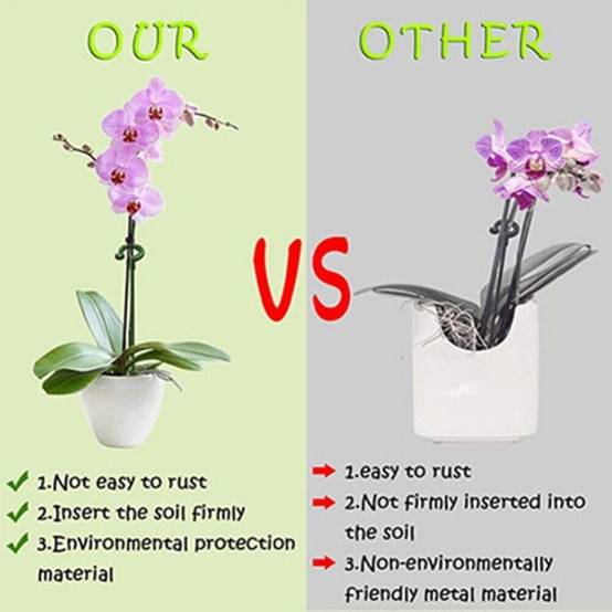 Lot de 10 Tuteurs pour Plantes d'Intérieur 27 cm - Fibre de Verre Résistant - Support pour Orchidées et Fleurs Délicates - Lytech - Image 5