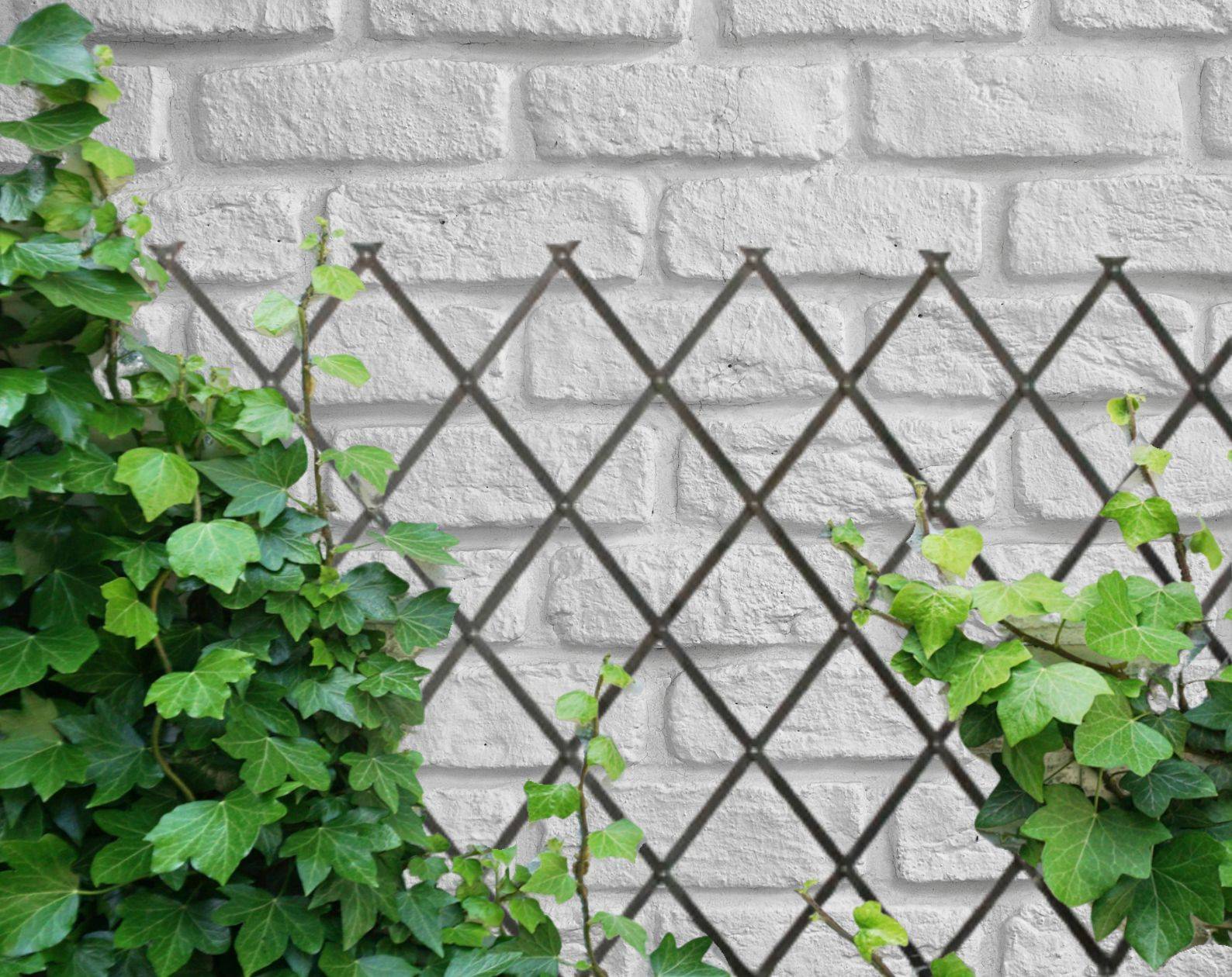 Comercial Candela - Treillis Bois| Gris| 100% Bois Pin| 1X2M| Gardien Des Plantes| Résistant| Decoration Jardin - Imagen 9