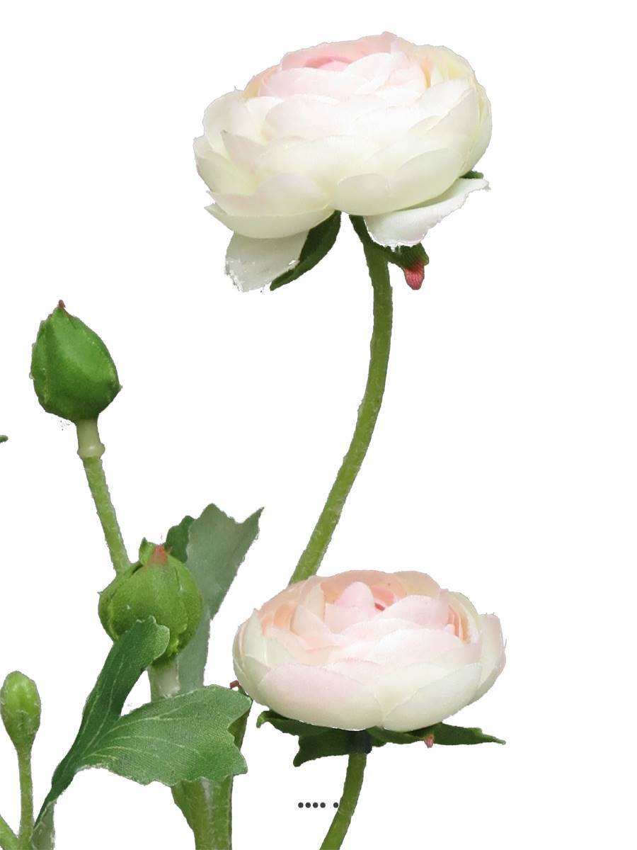 Artificielles - Renoncule factice en tige 2ramures 3belles têtes H48cm Rose-crème-BEST - couleur: Rose-crème - Imagen 3
