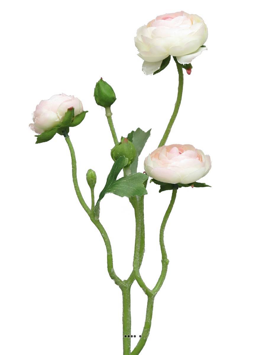 Artificielles - Renoncule factice en tige 2ramures 3belles têtes H48cm Rose-crème-BEST - couleur: Rose-crème - Imagen 2