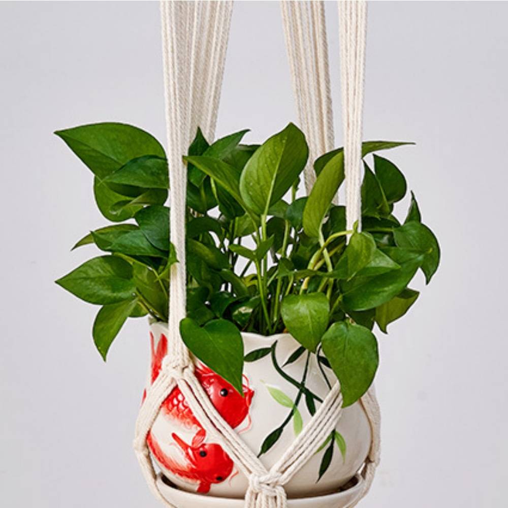 Jardinière suspendue coton -  Pour balcon/intérieur - Décoration plantes - Image 2